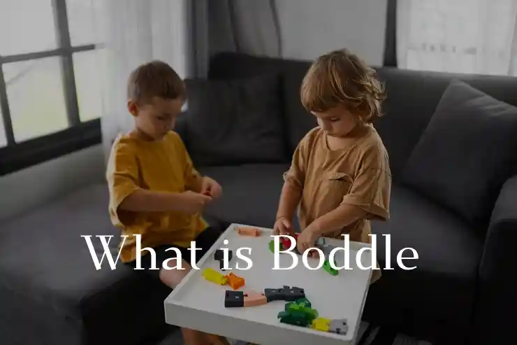 Boddle Game